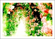 Ｇ/Ｆ/Ｃ認定カードセラピスト養成講座