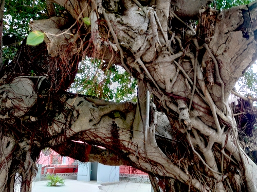 龍宮城　龍使い　神々しい　お祈りをささげる