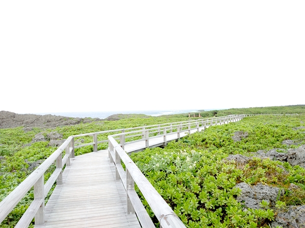 伊良部島 通り池 龍 龍神 ゼロ磁場