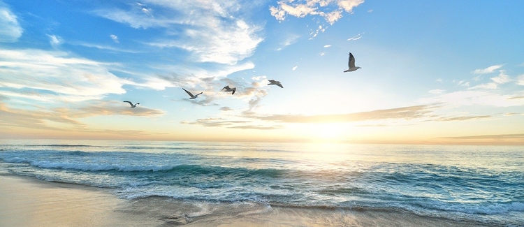 「ご縁カスタマイズ」必要な縁を起こして自分の世界をアップデート