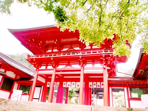 近江神宮 ちはやふる 聖地