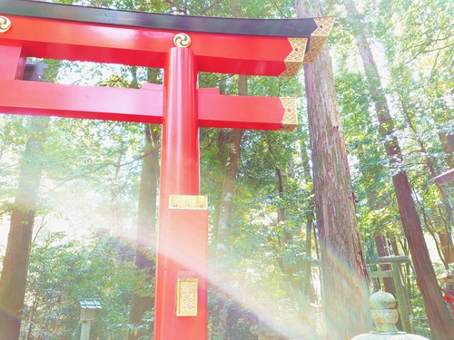 源神 ヒーリング講座 クリアマインド