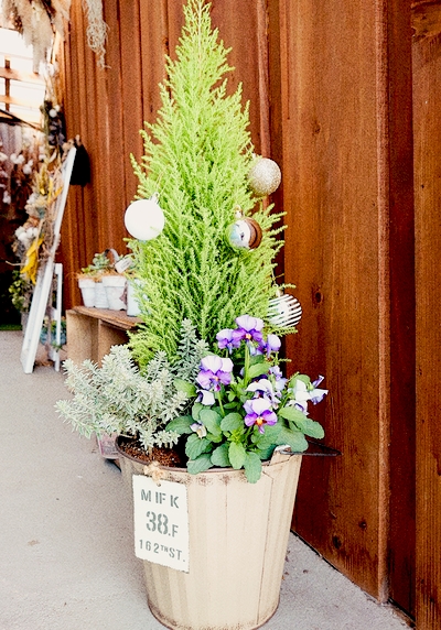 Xmas　三重クリアマインドスクールサロン