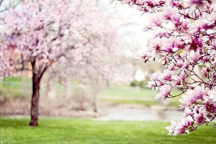 ご紹介ナビゲーションアート♪♪