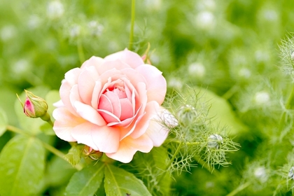 各セッション等お客様の声です！