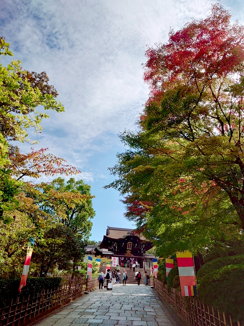 京都へ行こう　大谷本廟　秋空