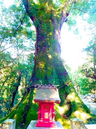 龍神姫　みずとり