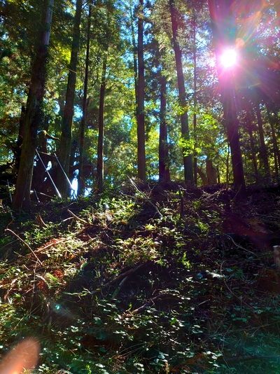 赤桶　櫛田川沿い