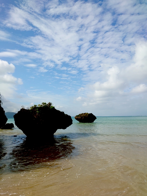 石垣島　自然回帰