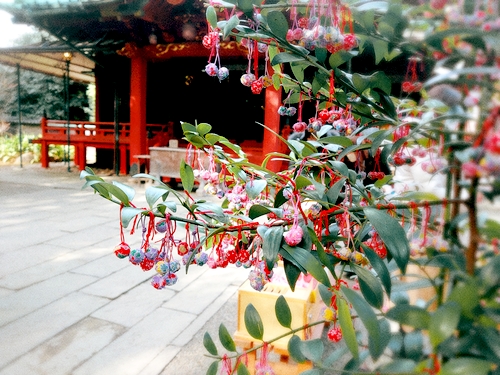 赤坂氷川神社　縁結び