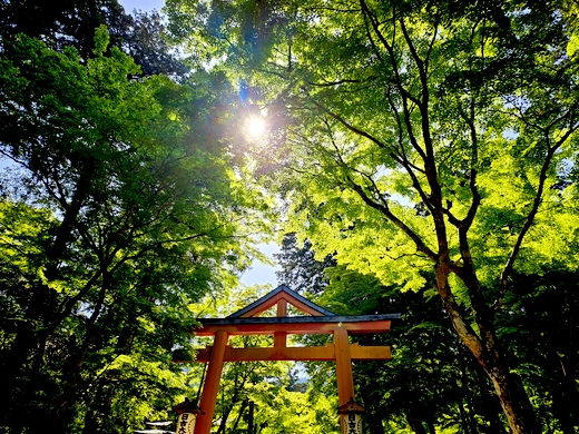 琵琶湖　日吉大社　坂本