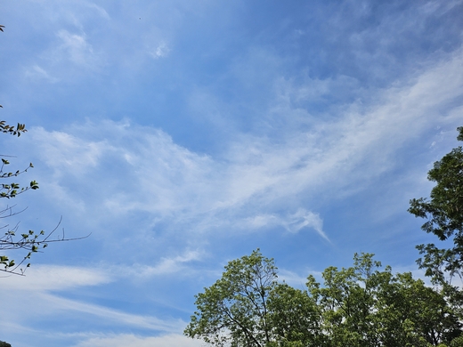 源光豊麗の概念と似てるよ