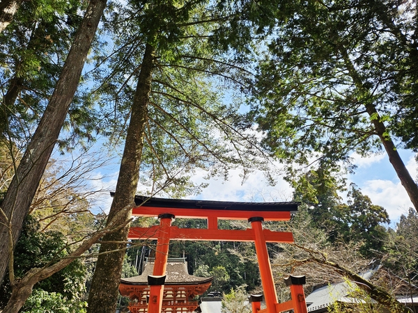 じつは心残りだった比売神社へ