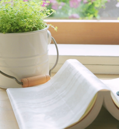 開業・副業のためのやる気スイッチコンサル