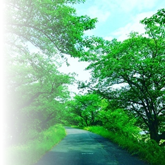 CLEAR MINDでお手伝いできること