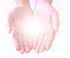 「本来の自分」あなたの原点であり源とつながること